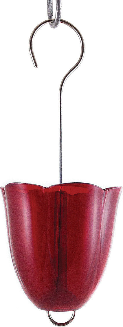 Droll Yankees Inc - Ant Moat Hummingbird Feeder Accessory on Sale