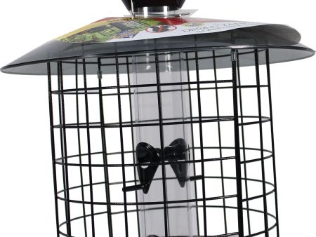 Droll Yankees Inc - Sunflower Domed Cage Feeder on Sale