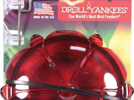 Droll Yankees Inc - Ruby Sipper Hanging Hummingbird Feeder Discount