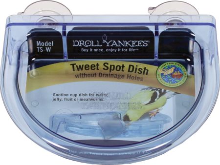 Droll Yankees Inc - Tweet Spot Dish Without Drainage Holes Online now