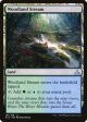 Woodland Stream [Rivals of Ixalan] For Cheap